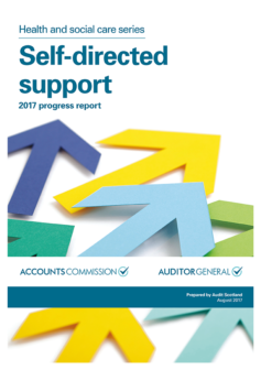 Audit Scotland SDS Report - So, what now?