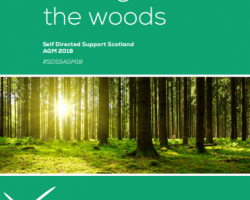 Image of SDSS AGM 'Getting out of the woods' programme. Green brochure with image of sunlight breaking through trees.