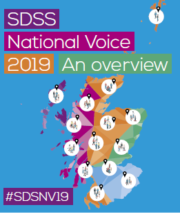 SDS National Voice 2019 report published and videos available!