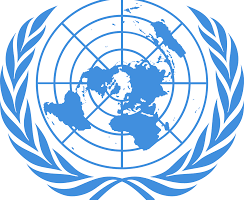 UN Rights of Disabled People, COVID-19 guidance