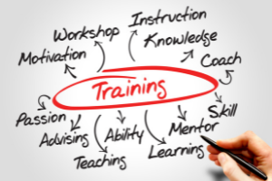 Future training opportunities