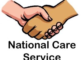 Latest developments in National Care Service
